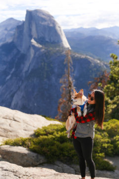 Traveling to Yosemite with a Dog